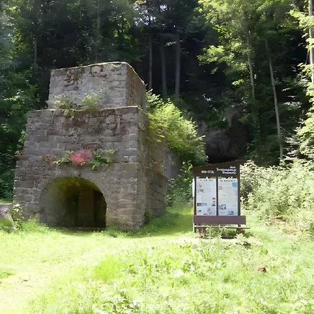 Heidi * Rosenthal-Bielatal